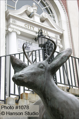 Burlington, VT - City Hall and Deer Sculpture